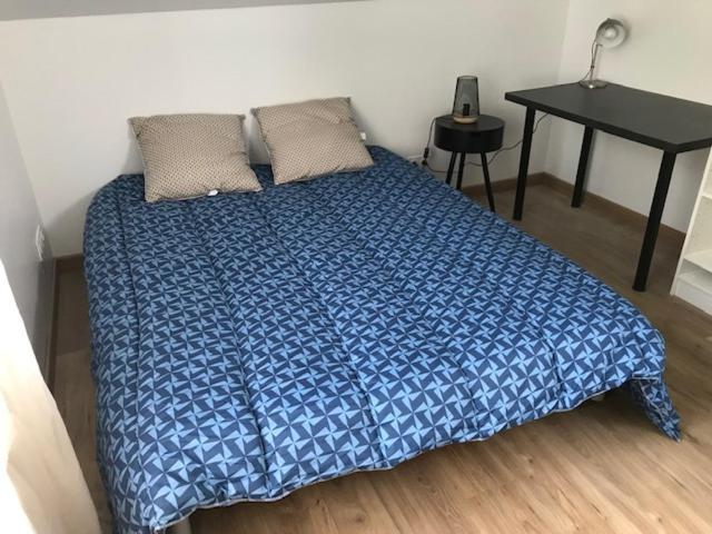 Logement T2-Rue-Maisonnette Sncf-阿姆博斯 外观 照片